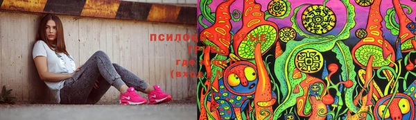 spice Абаза