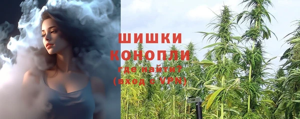 spice Абаза