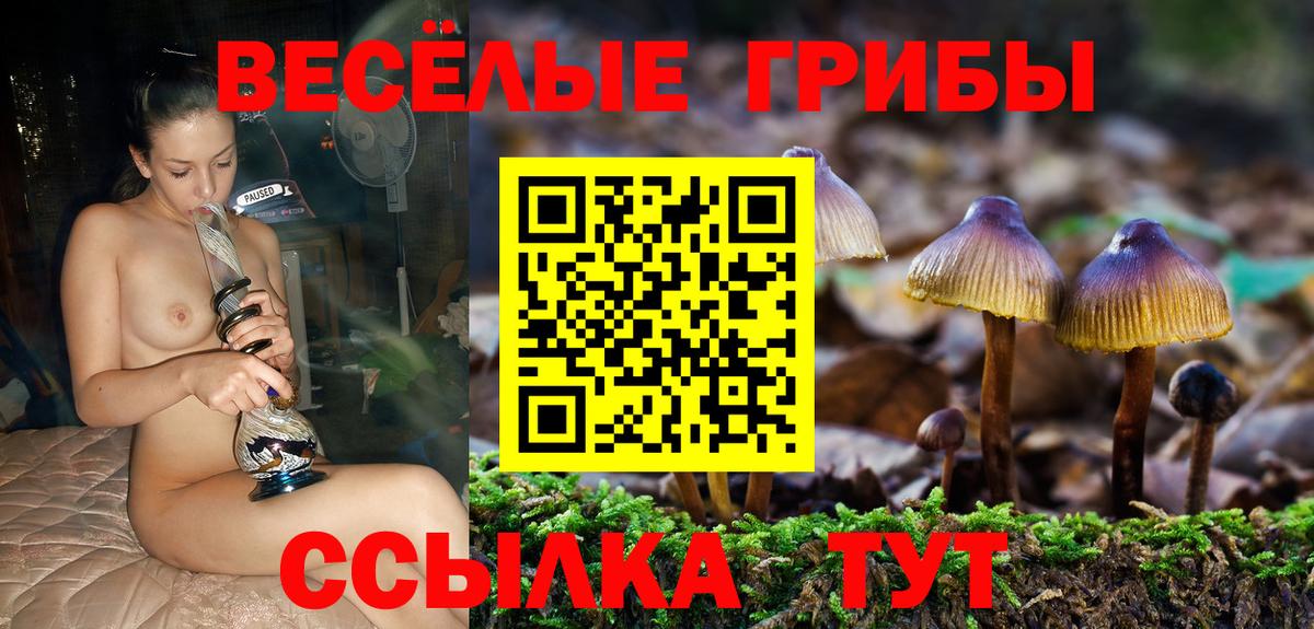Тавда  хочу наркоту  Псилоцибиновые грибы мухоморы  Вход с VPN  Галлюциногенные грибы Magic Shrooms 